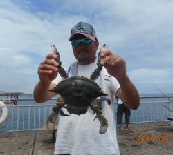 鹿島港魚釣園 釣果