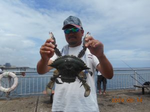 鹿島港魚釣園 釣果