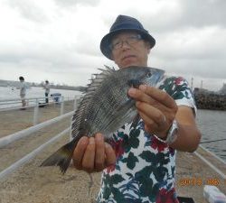 鹿島港魚釣園 釣果