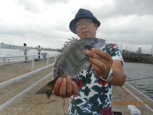 鹿島港魚釣園 釣果