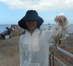 鹿島港魚釣園 釣果