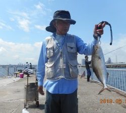 鹿島港魚釣園 釣果