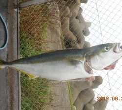 鹿島港魚釣園 釣果