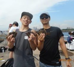 鹿島港魚釣園 釣果