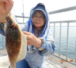 鹿島港魚釣園 釣果