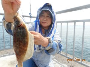 鹿島港魚釣園 釣果