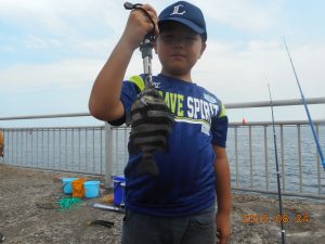 鹿島港魚釣園 釣果