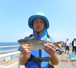 鹿島港魚釣園 釣果