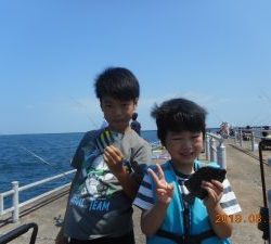 鹿島港魚釣園 釣果