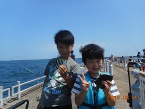 鹿島港魚釣園 釣果