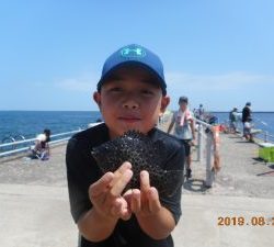 鹿島港魚釣園 釣果