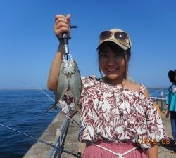 鹿島港魚釣園 釣果