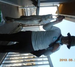 鹿島港魚釣園 釣果