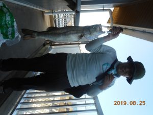 鹿島港魚釣園 釣果