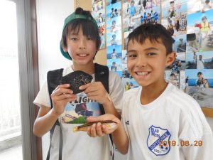 鹿島港魚釣園 釣果