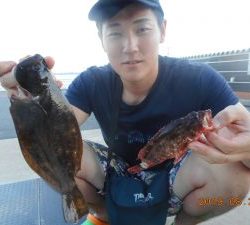 鹿島港魚釣園 釣果