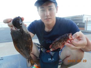 鹿島港魚釣園 釣果