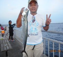 鹿島港魚釣園 釣果
