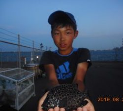 鹿島港魚釣園 釣果