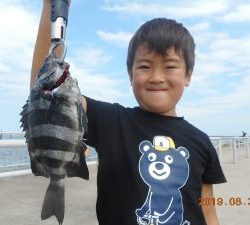 鹿島港魚釣園 釣果