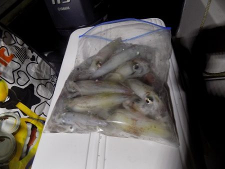 フィッシングボート空風(そらかぜ) 釣果