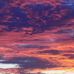 フィッシングボート空風(そらかぜ) 釣果