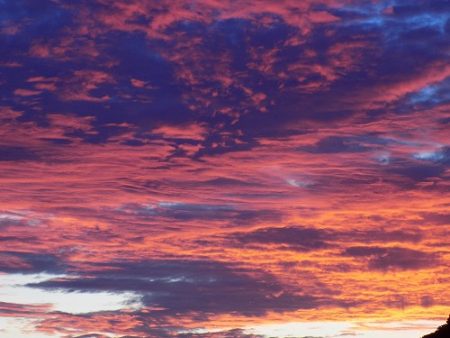 フィッシングボート空風（そらかぜ） 釣果