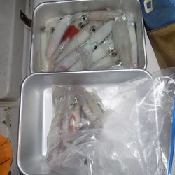 フィッシングボート空風(そらかぜ) 釣果