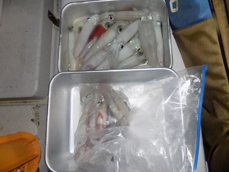 フィッシングボート空風(そらかぜ) 釣果