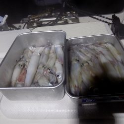 フィッシングボート空風(そらかぜ) 釣果