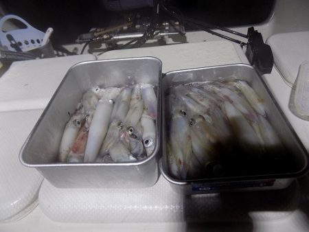 フィッシングボート空風(そらかぜ) 釣果