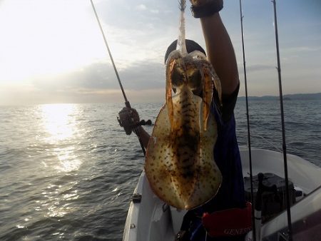 フィッシングボート空風(そらかぜ) 釣果