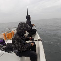 フィッシングボート空風（そらかぜ） 釣果