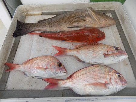 フィッシングボート空風（そらかぜ） 釣果