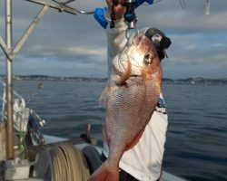 フィッシング太陽 釣果