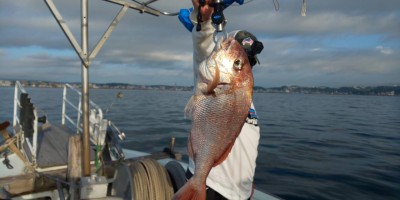 フィッシング太陽 釣果