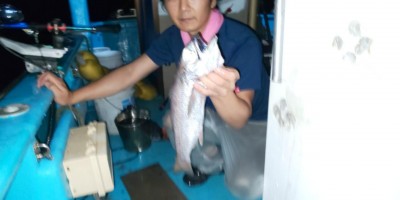 フィッシング太陽 釣果