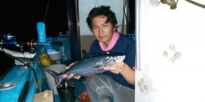フィッシング太陽 釣果