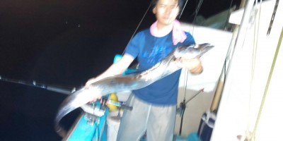 フィッシング太陽 釣果