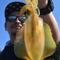 Fisherman Dreams DI 釣果