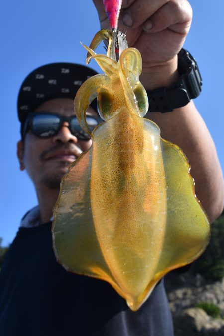 Fisherman Dreams DI 釣果