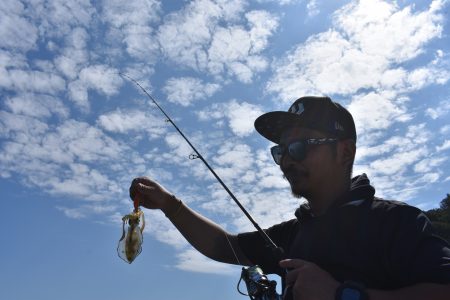 Fisherman Dreams DI 釣果