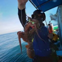 恵比寿丸(兵庫) 釣果