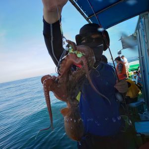 恵比寿丸(兵庫) 釣果