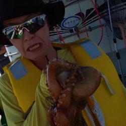 恵比寿丸(兵庫) 釣果