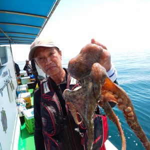 恵比寿丸(兵庫) 釣果