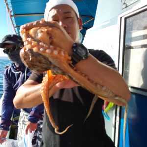 恵比寿丸(兵庫) 釣果