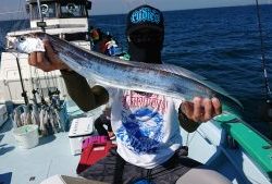 KONAYAーMARU(こなや丸) 釣果