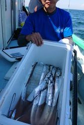 KONAYAーMARU(こなや丸) 釣果