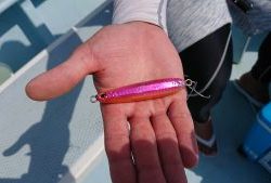 KONAYAーMARU(こなや丸) 釣果